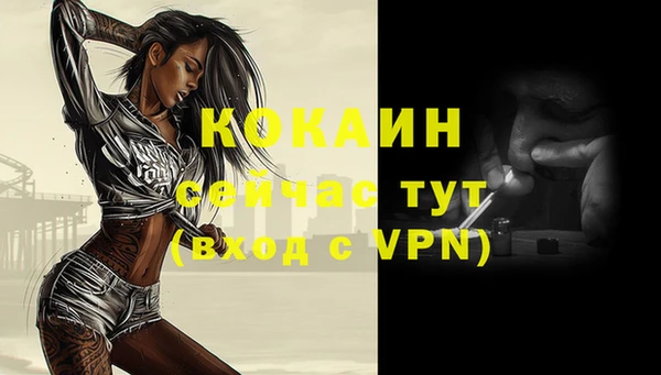 соль курить ск Гусь-Хрустальный