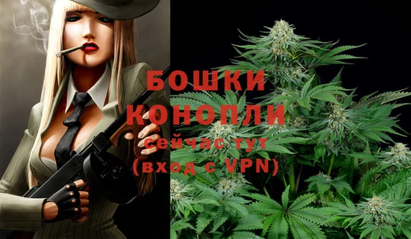 соль курить ск Гусь-Хрустальный