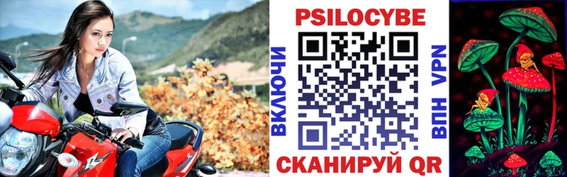 Галлюциногенные грибы Psilocybine cubensis закладки Южно-Сахалинск